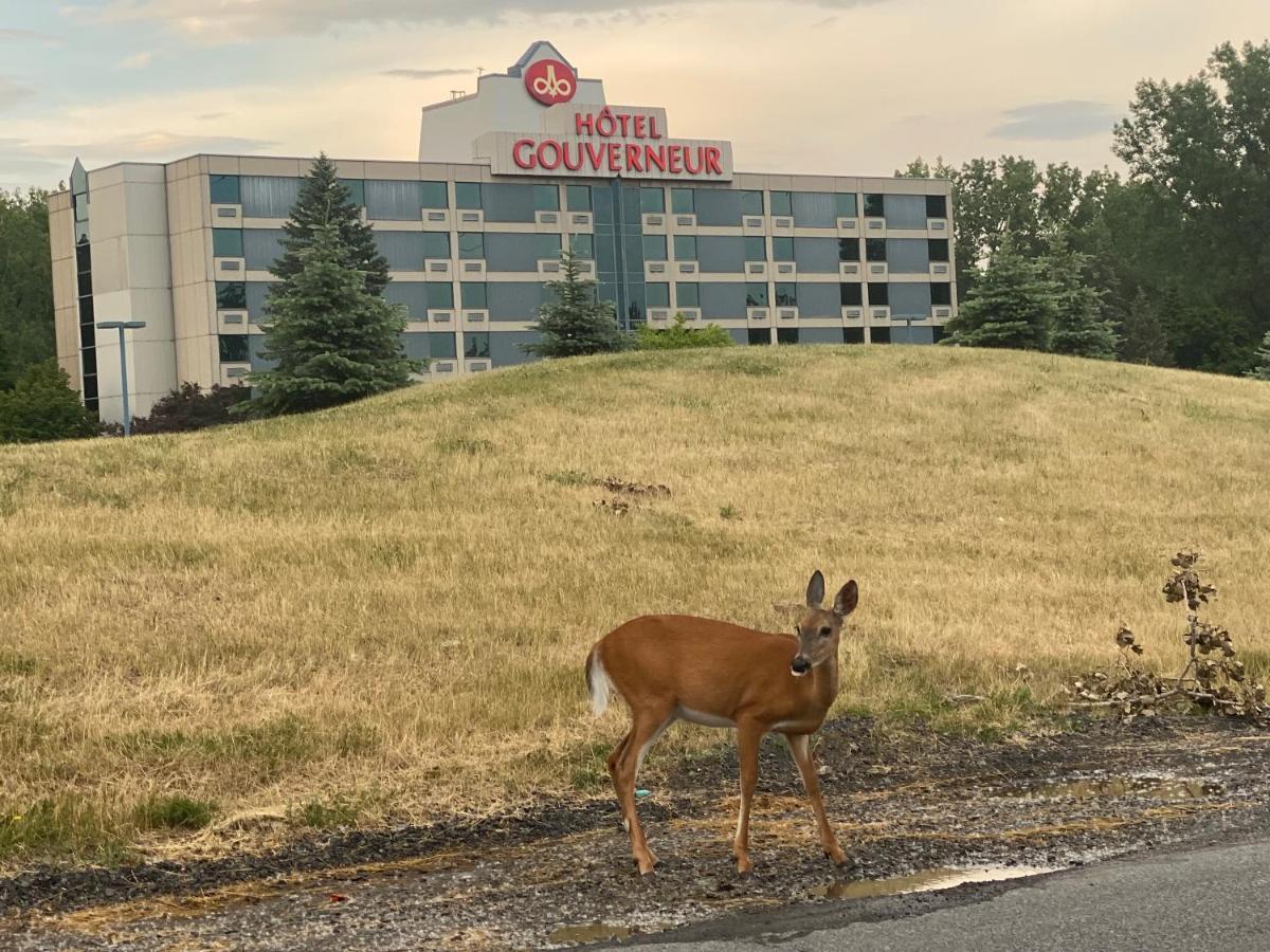 Hotels Gouverneur Montreal - Ile Charron Boucherville Kültér fotó